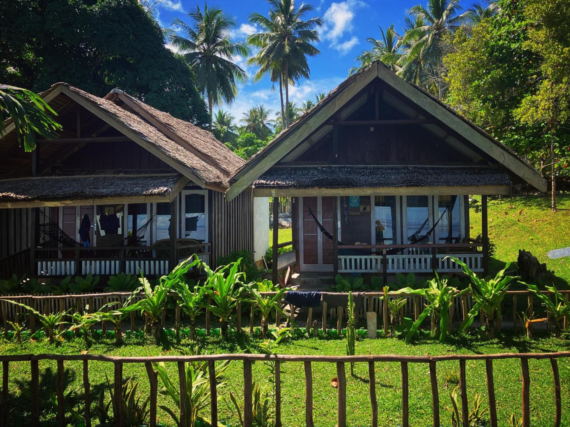 Pristine Paradise Dive - Togean Islands, *